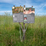 Infotafel am Biosphären-Getreidegarten